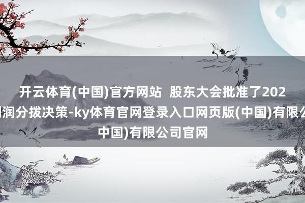 开云体育(中国)官方网站  股东大会批准了2024年度利润分