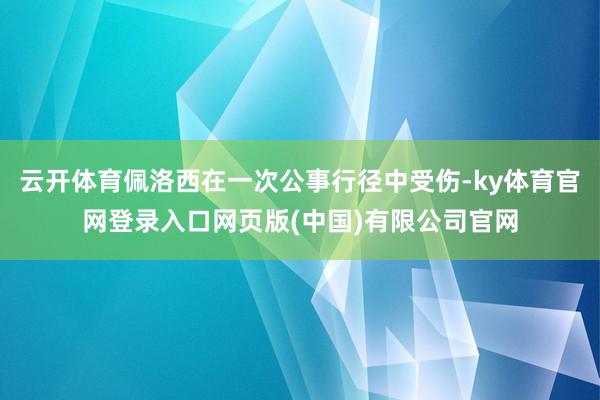 云开体育佩洛西在一次公事行径中受伤-ky体育官网登录入口网页
