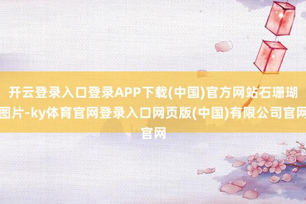 开云登录入口登录APP下载(中国)官方网站石珊瑚图片-ky体