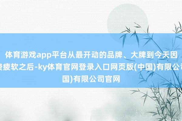 体育游戏app平台从最开动的品牌、大牌到今天因为花费疲软之后