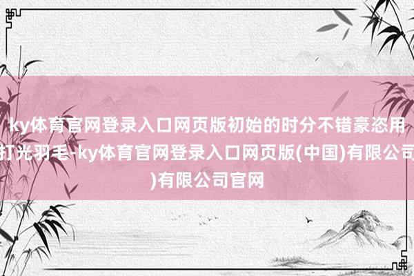 ky体育官网登录入口网页版初始的时分不错豪恣用法术打光羽毛-