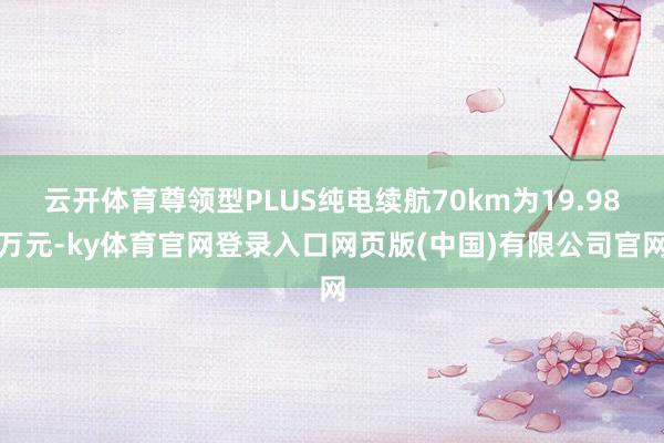 云开体育尊领型PLUS纯电续航70km为19.98万元-ky