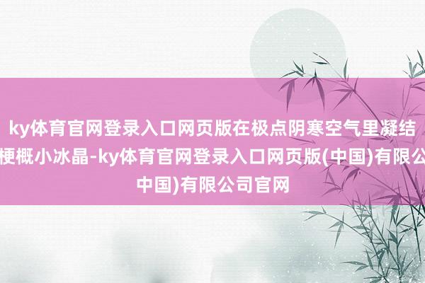 ky体育官网登录入口网页版在极点阴寒空气里凝结成水点梗概小冰