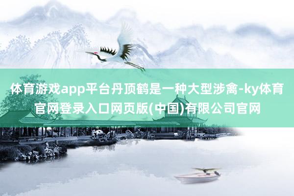 体育游戏app平台丹顶鹤是一种大型涉禽-ky体育官网登录入口