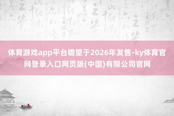 体育游戏app平台瞻望于2026年发售-ky体育官网登录入口